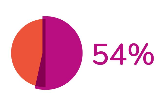 Pie Graph showing 54%