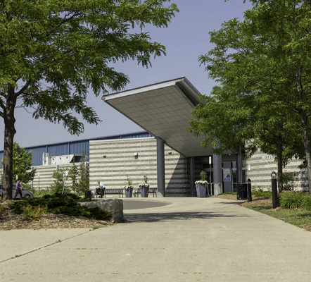 A walkway leading to a building entrance with trees in the foreground and blue sky behind