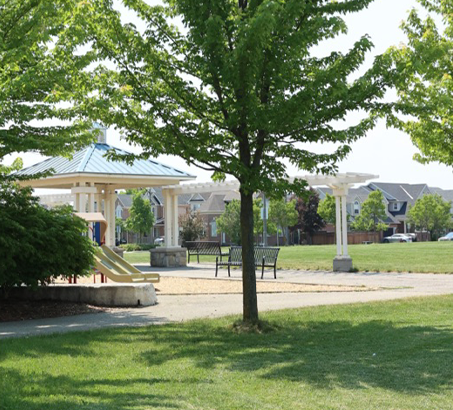 A sunny park with trees all around