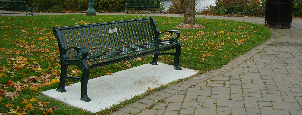 Bench in park