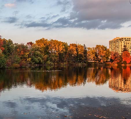 A pond lined with trees and an apartment building with a reflection on the water