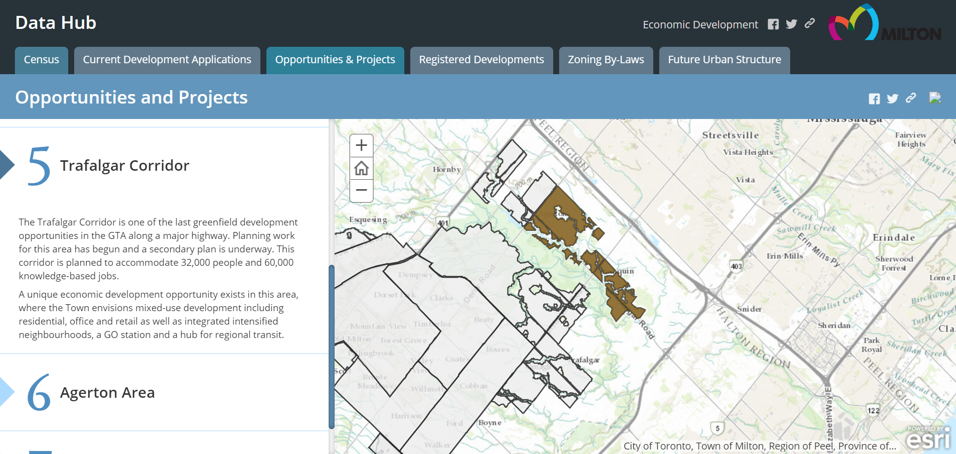 Picture of Data Hub Opportunities and projects tab