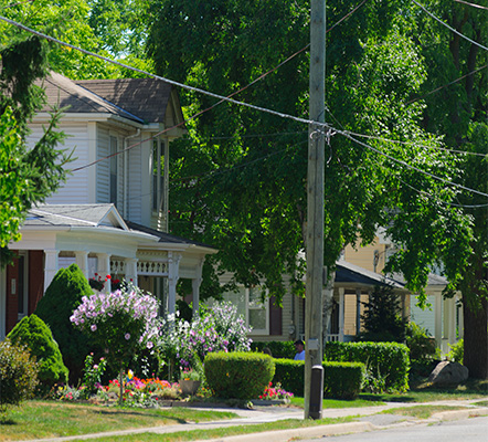 A heritage home with trees