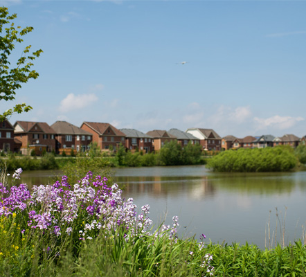 A stormwater management pond with grass, trees, and houses bordering it