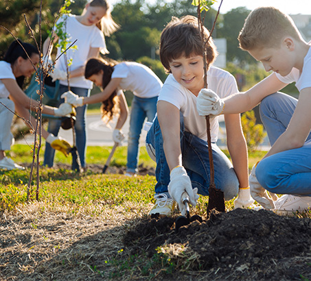 Young adults planting trees in the sun