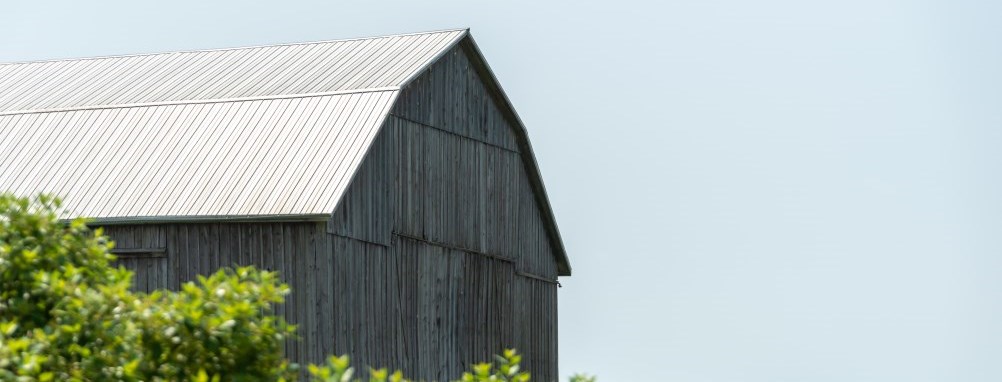 Barn