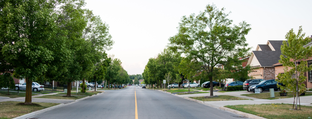 A street lined with houses and trees