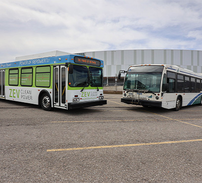 Two busses parked facing each other with a blue sky in the background