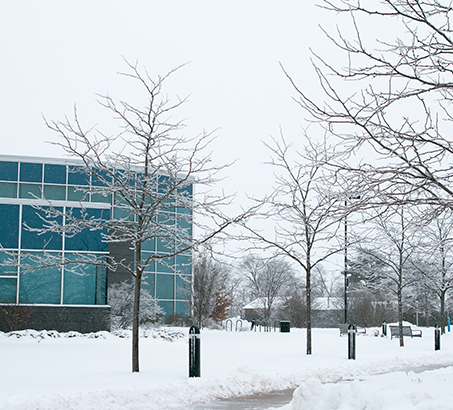 Icy trees in front of a building