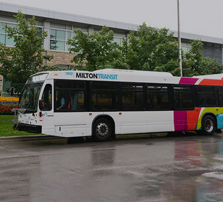 Town of Milton bus with Milton Transit logo and colours on the side, parked in front of a building with trees in front