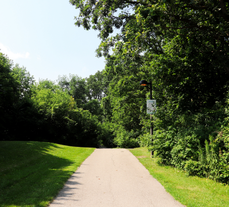 park with green trees