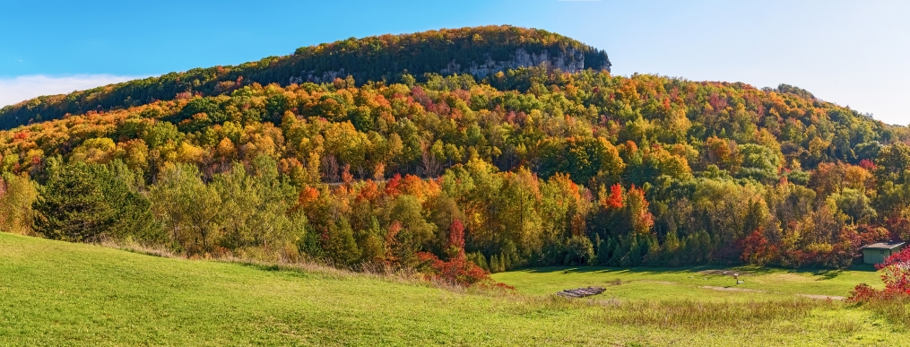 A shot of Glen Eden in the fall