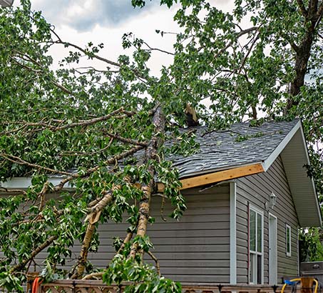 A tree that has fallen on the roof of a home