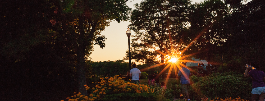 Sunset in park 