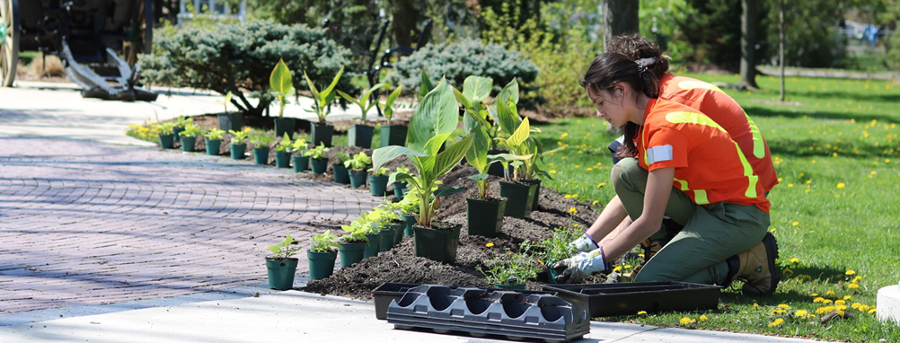 Two staff working in the garden at a Milton Park