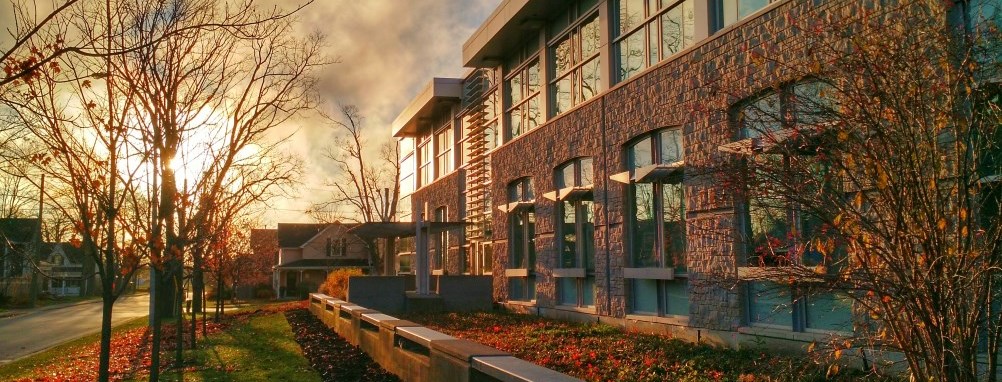 The sun rising over a row of housing in a neighbourhood in Milton.